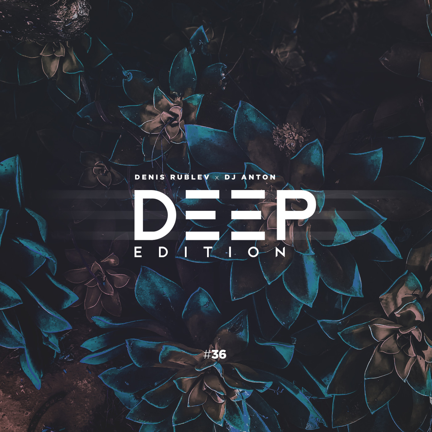 DENIS RUBLEV x DJ ANTON - DEEP EDITION 2019 VOL.36 episode artwork