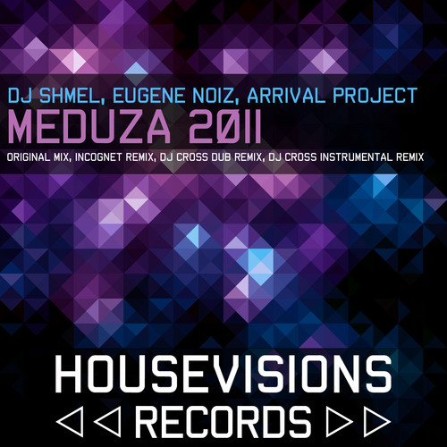 DJ Shmelb, Eugene Noiz, Arrival Project - Meduza 2011 (Sample) episode artwork