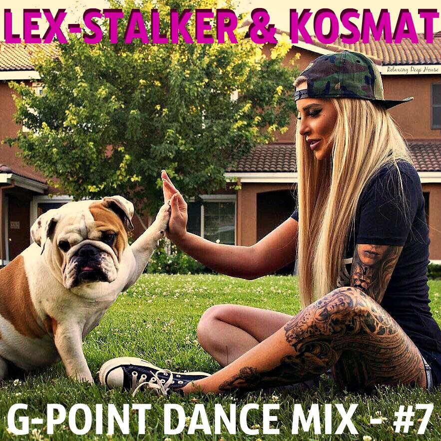 LEX-STALKER