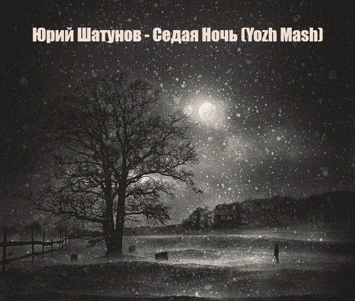 Юрий Шатунов vs dj Timur vs NoizBasses - Седая Ночь (Yozh Mash)