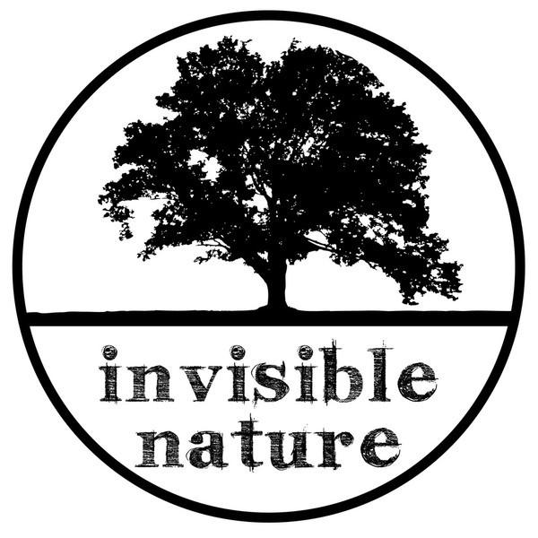 Natural 19. Invisible nature. Nature 19:6.