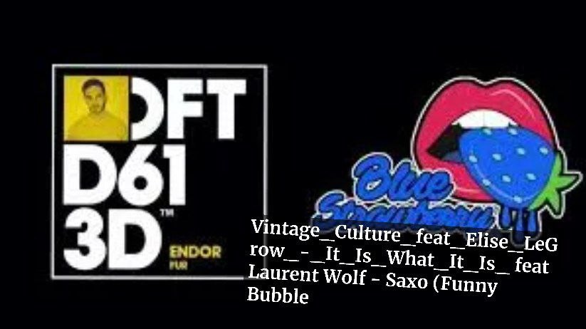 Vintage Culture feat Elise LeGrow - It Is What It Is  feat Laurent Wolf - Saxo (Funny Bubble