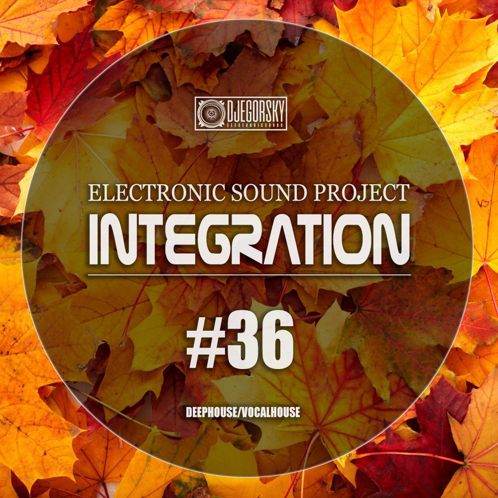 DJ Egorsky - Integration#36 (2021) episode artwork