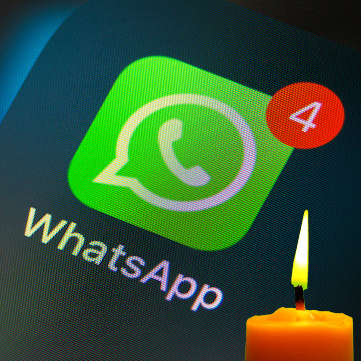 Nidus Total - Камчатский Реквием по WhatsApp