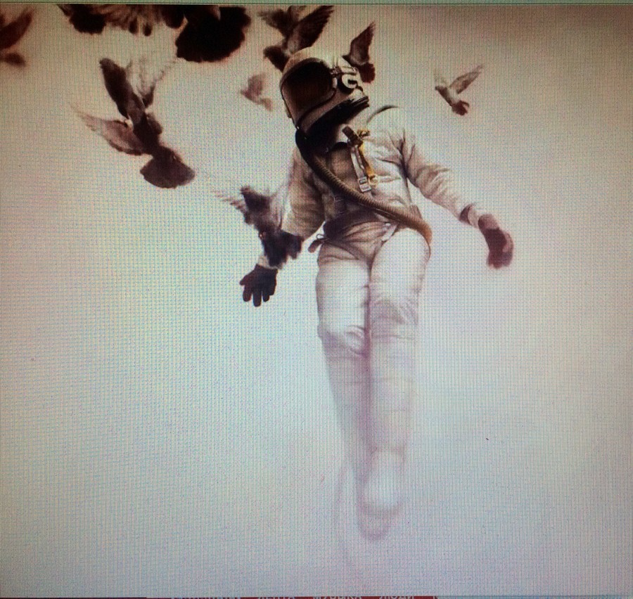 cover of episode Weightlessness XX