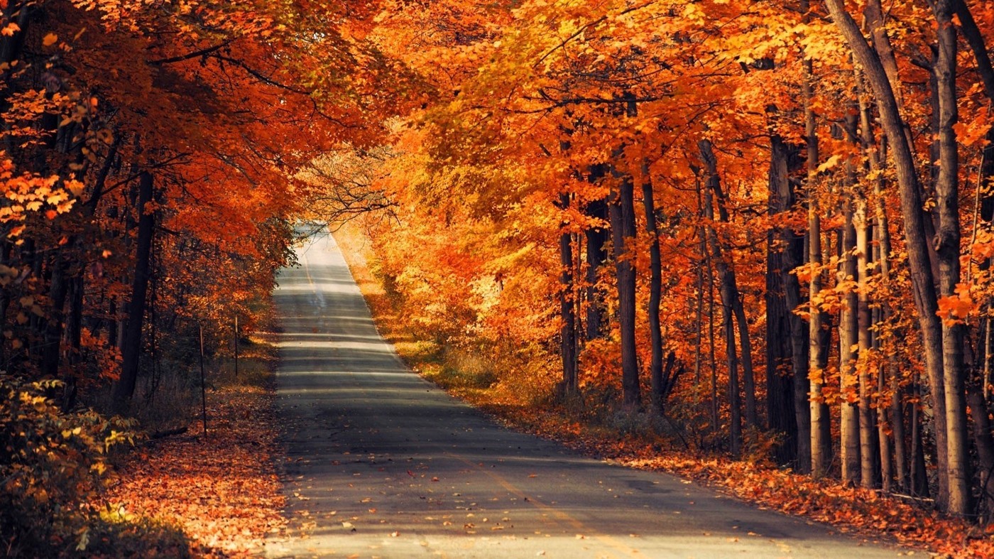 UrieL OdLerman - Autumn