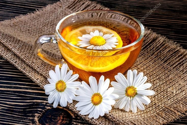 Anton Shumakov - Chamomile Tea