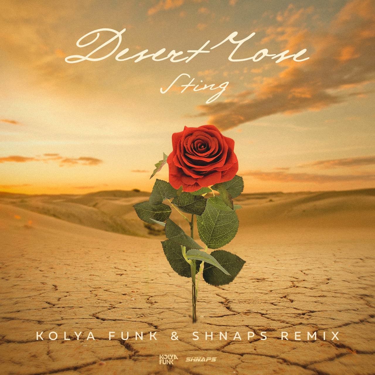 Sting Desert Rose Kolya Funk And Shnaps Remix Radio Edit Shnaps 