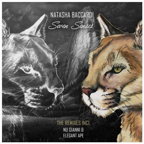 Natasha Baccardi - Seven Senses (Radio Edit)
