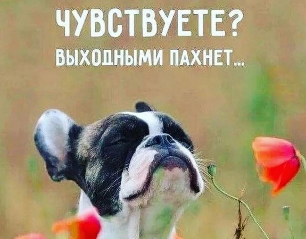 Доброе утро сегодня пятница картинки прикольные Dj Nekras - Before Friday - Dj Nekras