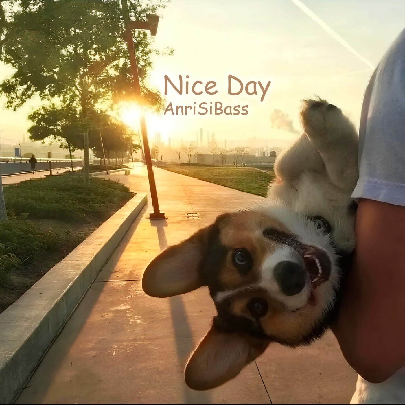 AnriSiBass — Nice Day episode artwork