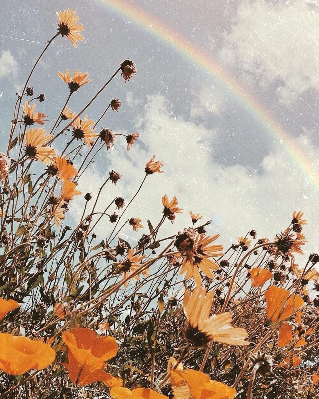 IL'ya Panezhin - Progressive House. Organic House ( Mix 2025 ) Volume. 11