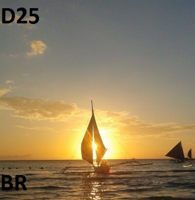 D25 - set - BR episode artwork