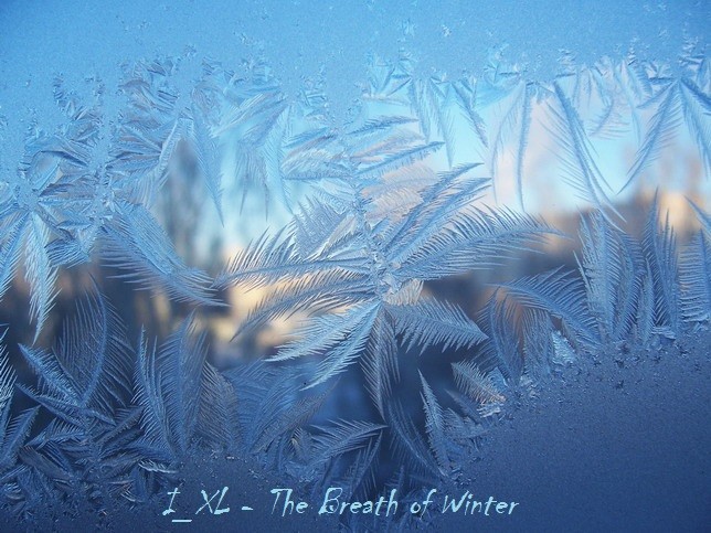 I XL - The Breath of Winter