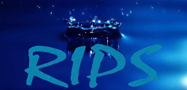 PromoDJ banner for @rips