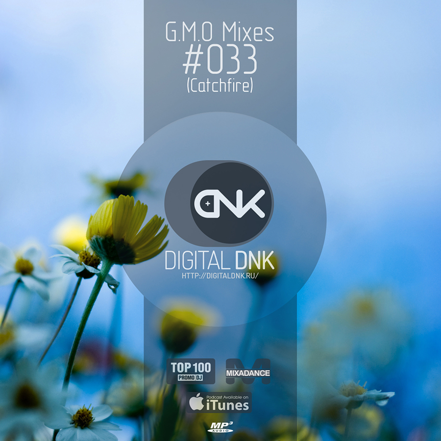 digital DNK