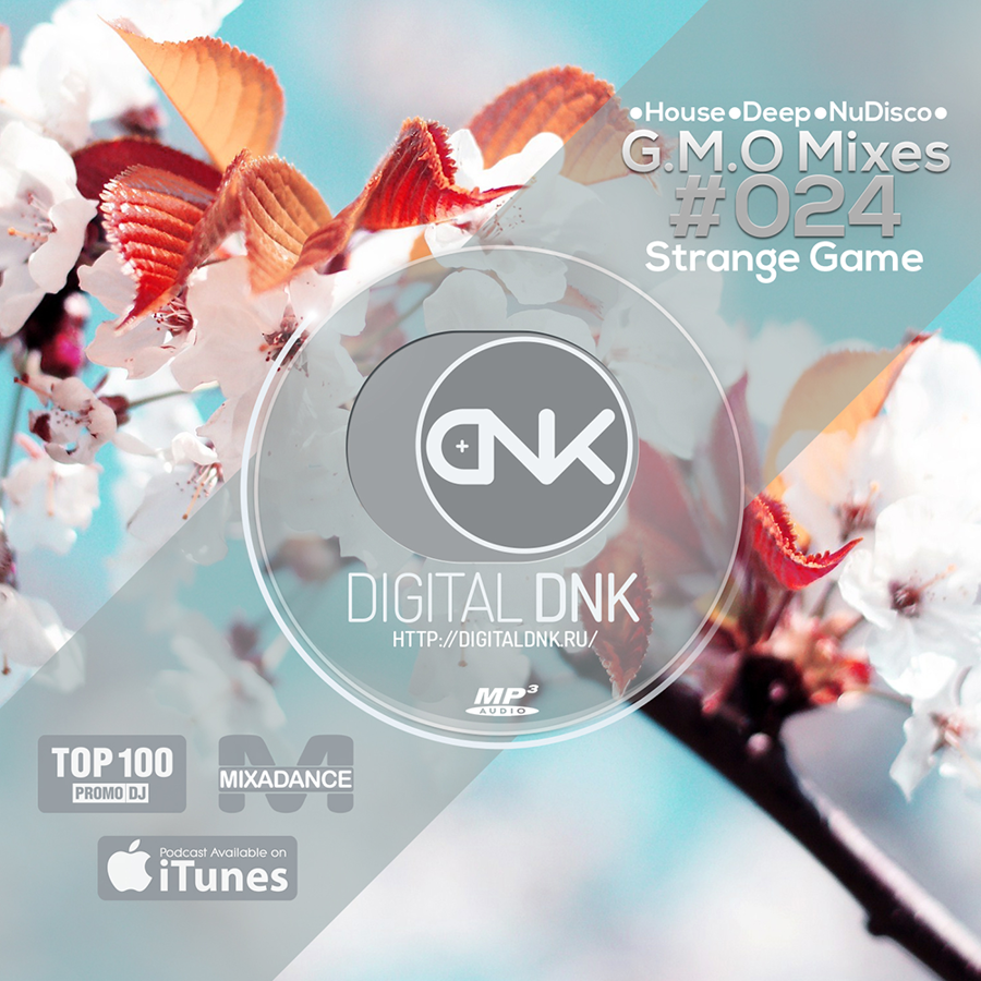 digital DNK