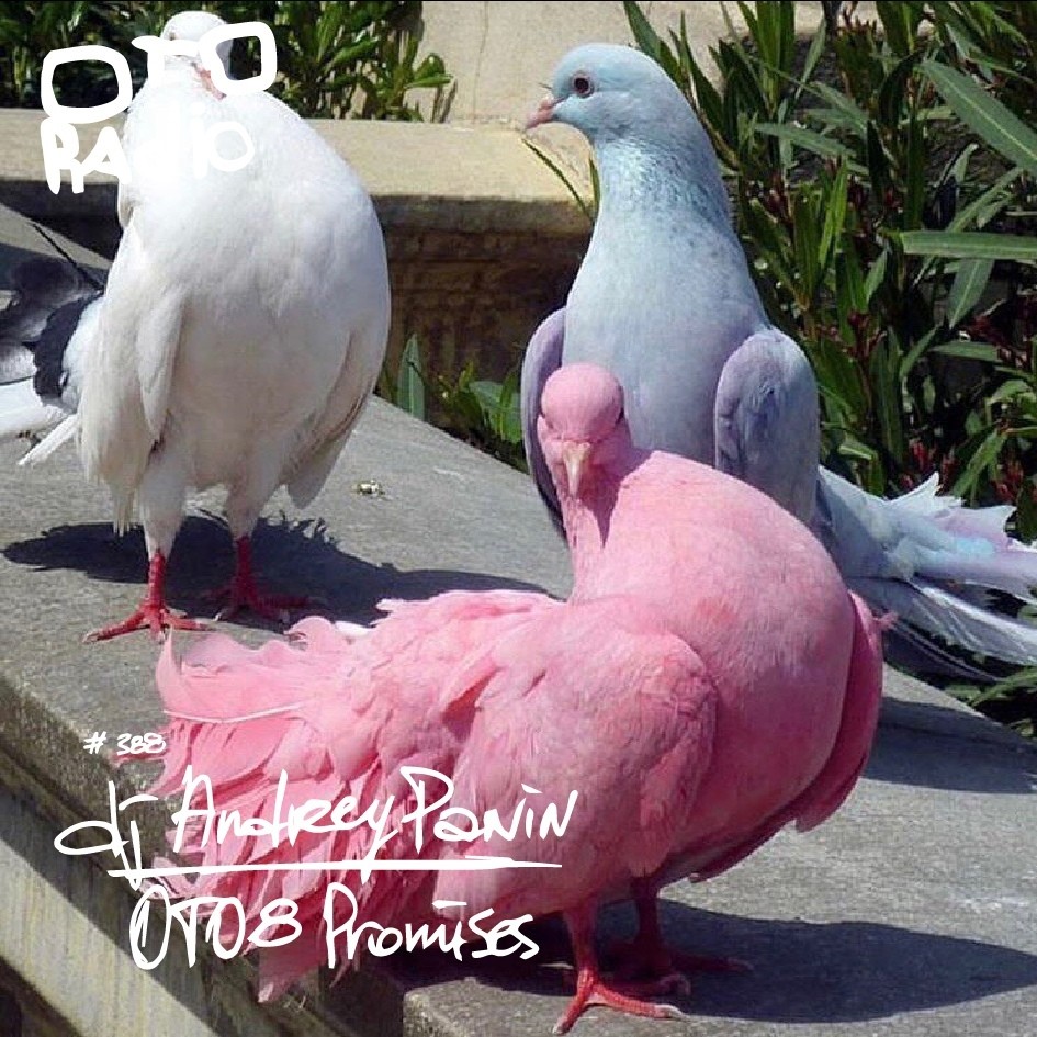 dj Andrey Panin - OTO 8 Promises episode artwork