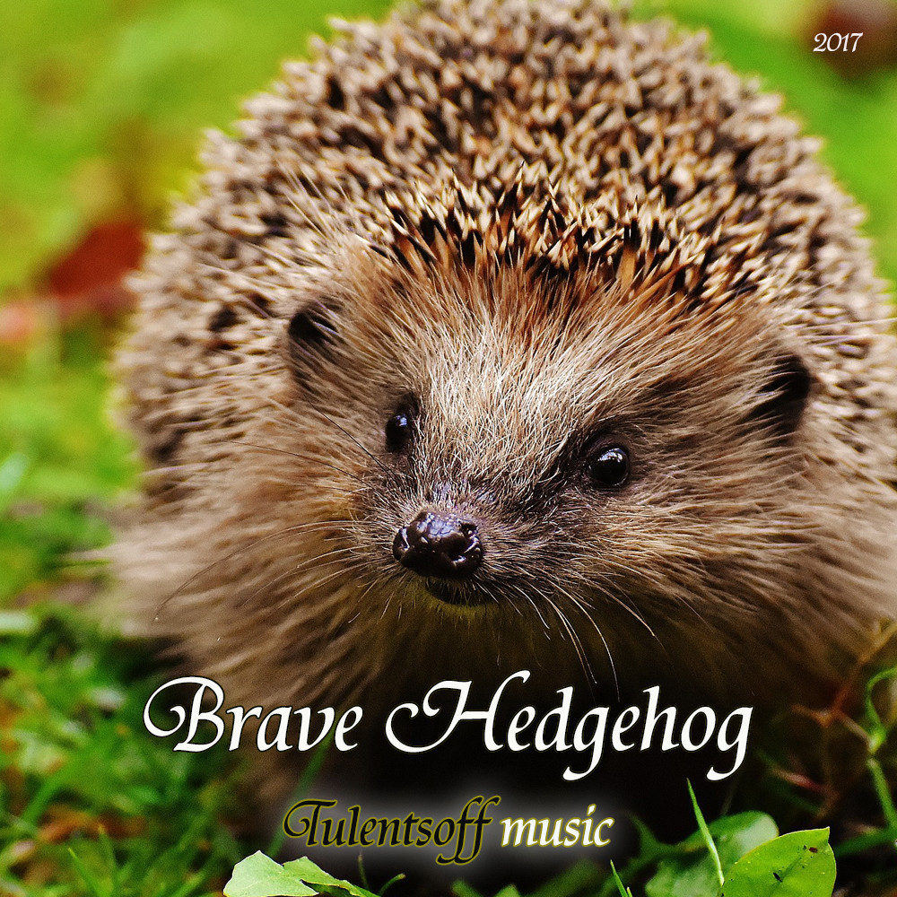 Tulentsoff Music - Brave Hedgehog episode artwork