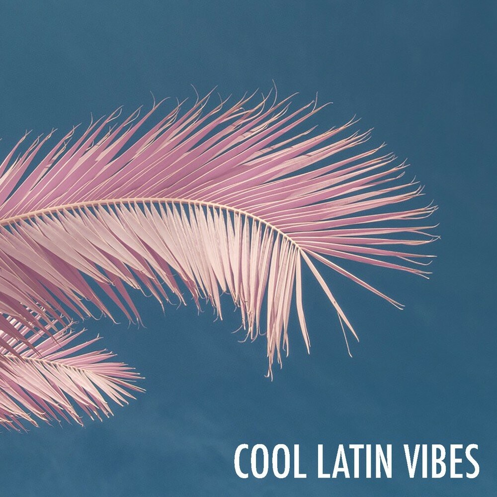 DENNIS VOICE "COOL LATIN SOUL VIBES" (feb,2022)