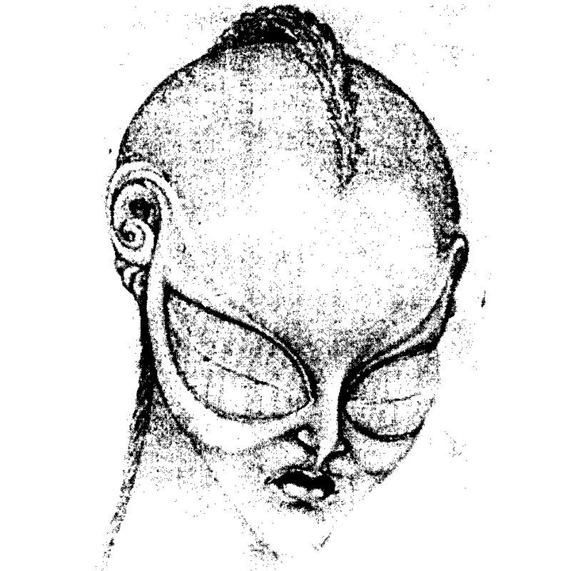 XFiles III. part one Mangool