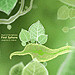 DJ Iridium - Music of the Spheres: First Sphere (Mix) (03-05-12) episode artwork