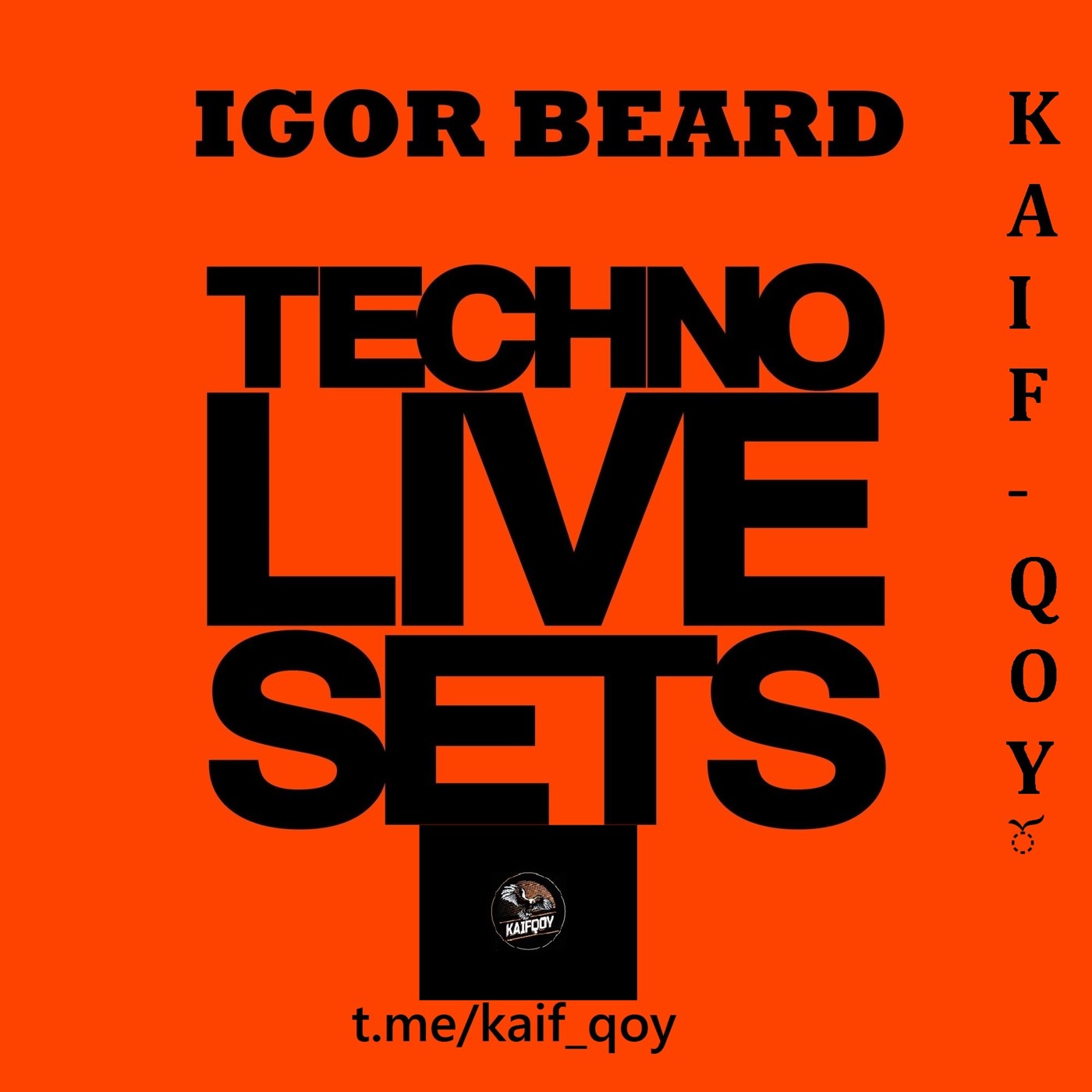 House and Techno Sound [special 4 ????-??? ? AND www.techno-livesets.com]