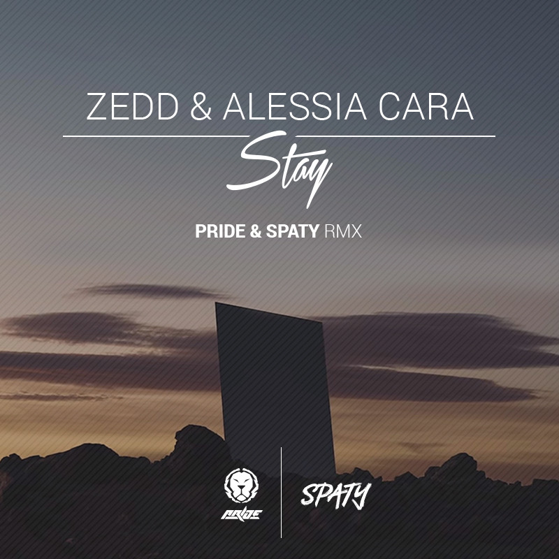 Zedd Feat. Hayley Williams - Stay The Night (PRIDE & SPATY Remix)