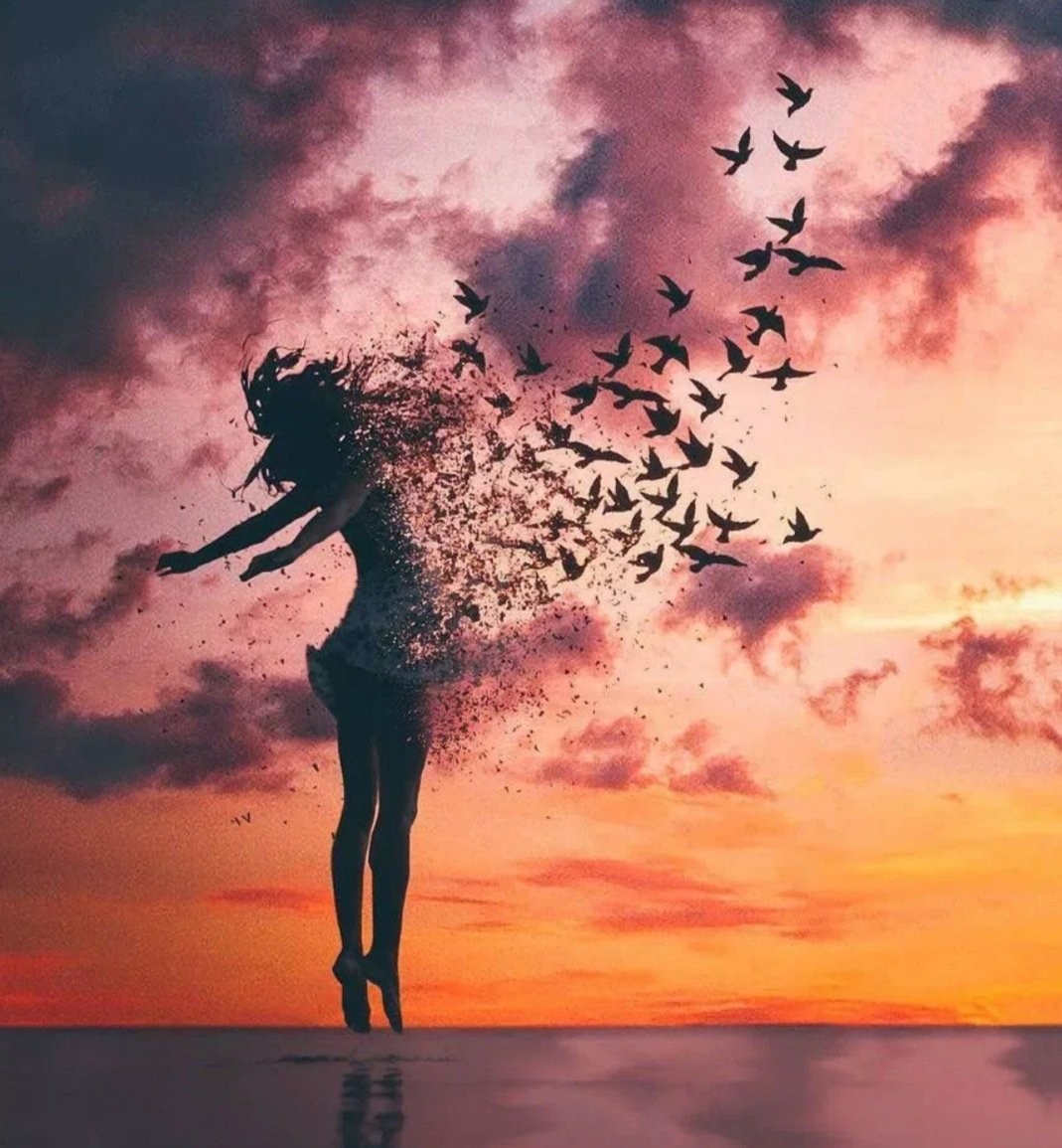 COK - (фантазия) mirrored in your eyes