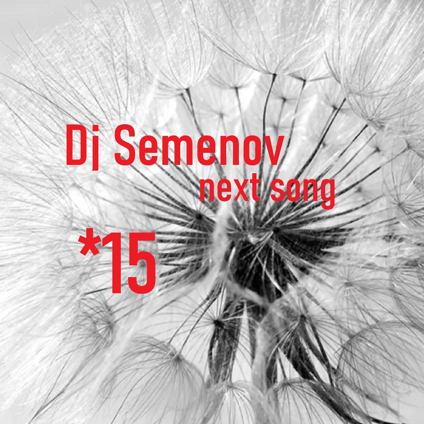 Dj Semenov - Next Song *15 episode artwork