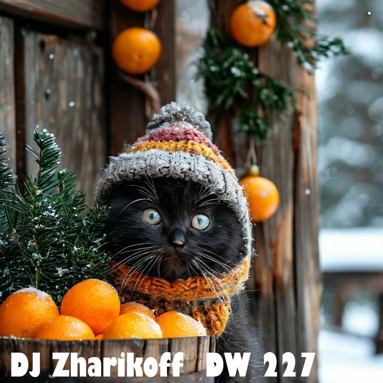 DJ Zharikoff - Deep Weekend #227 #227