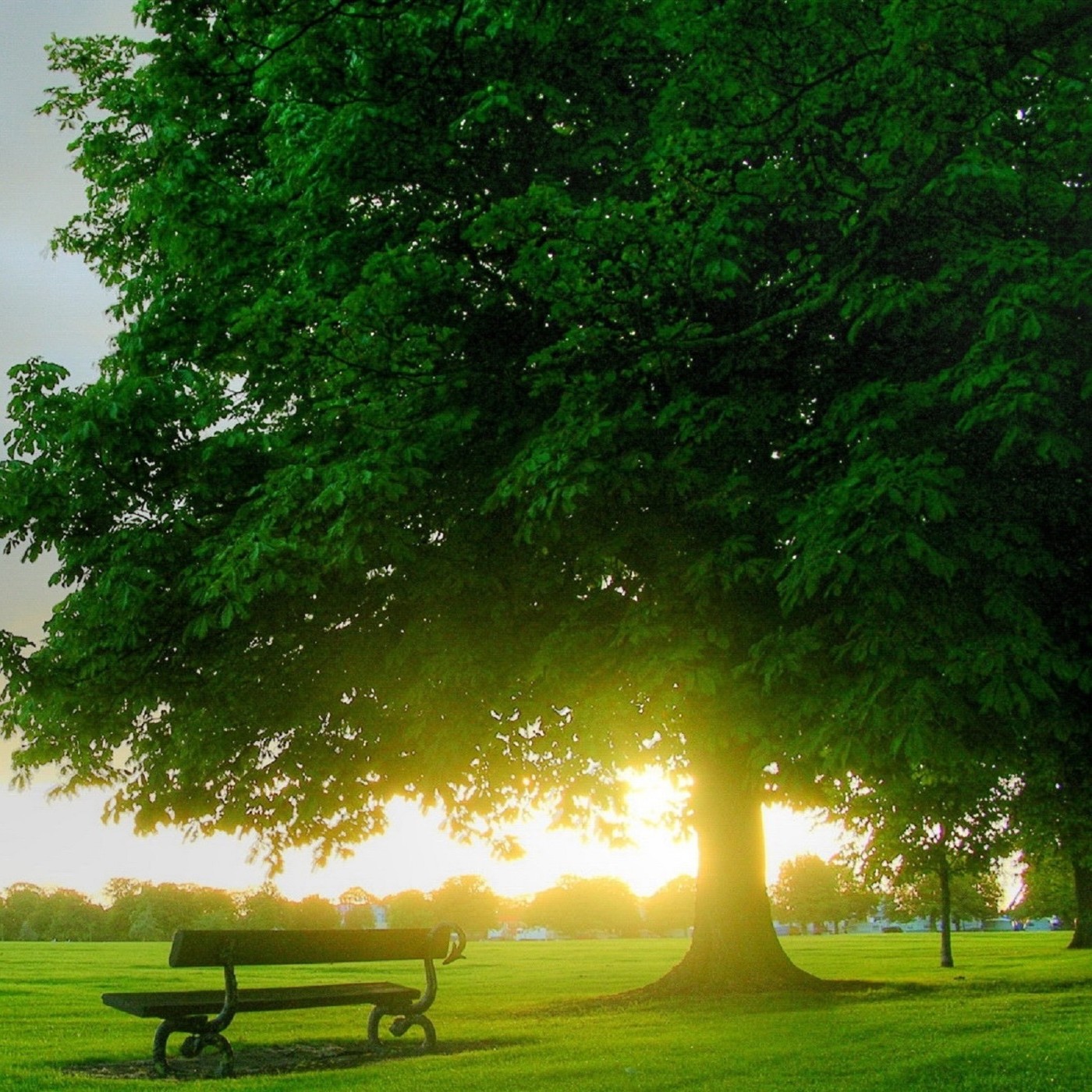 Dj Kirill sk - Beautiful melody Dj Kirill sk - Beautiful melody