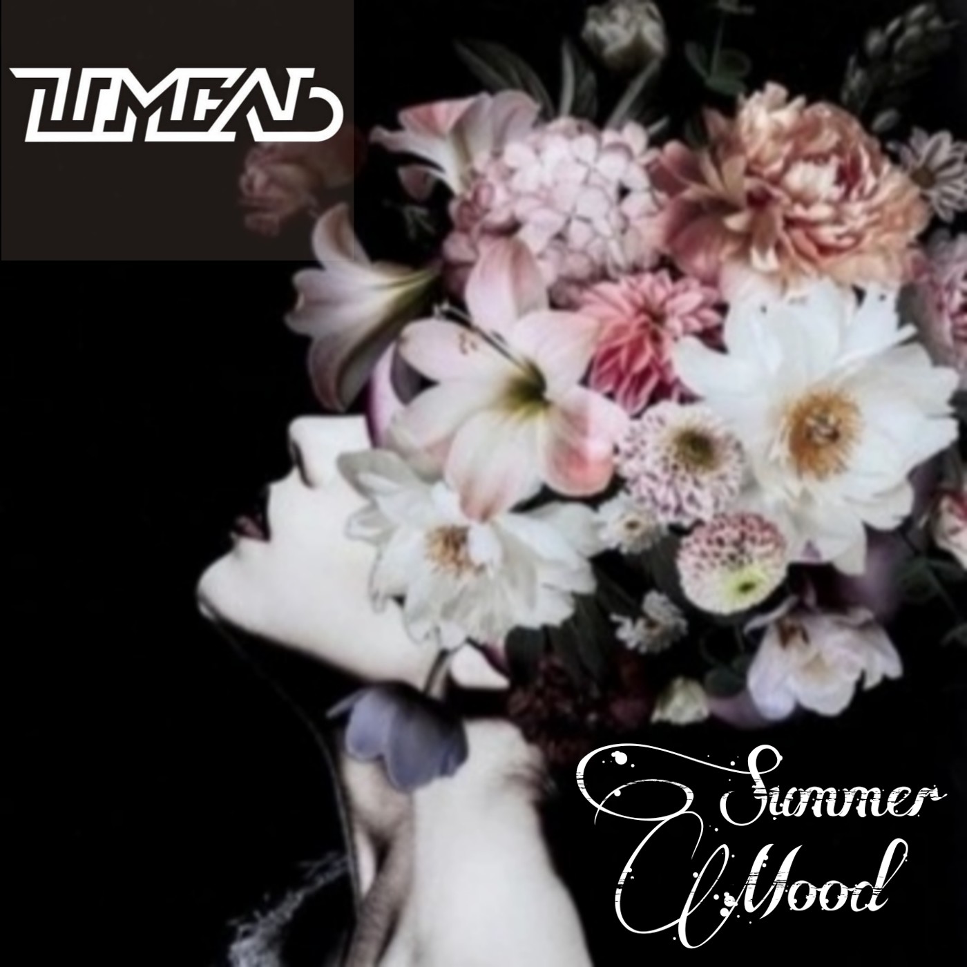 DJ Шмель-Summer Mood 2