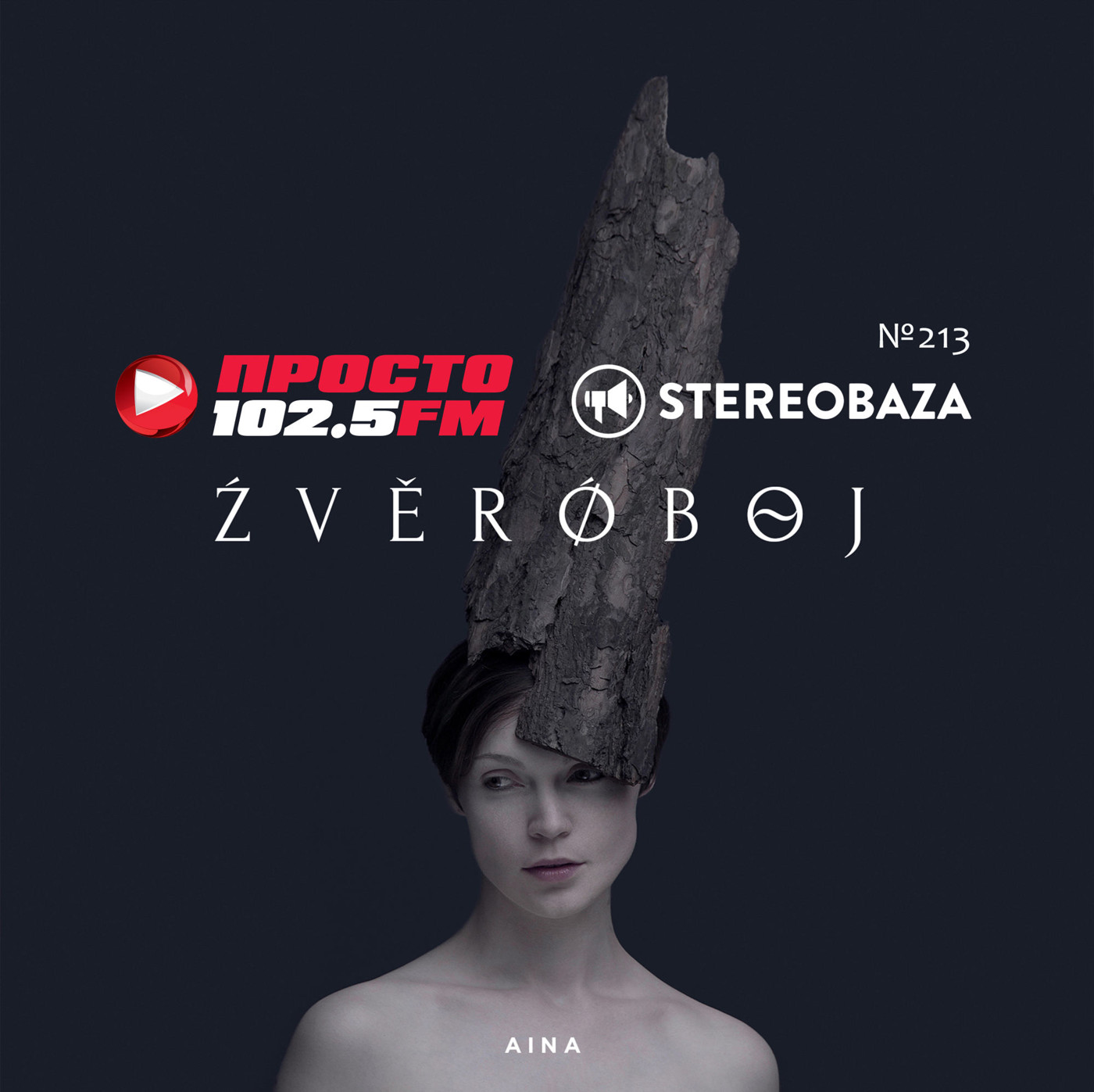 Stereoigor