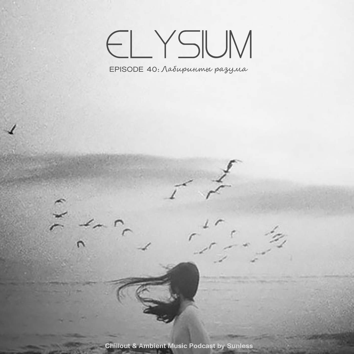 Sunless - Elysium # 040: Лабиринты разума episode artwork