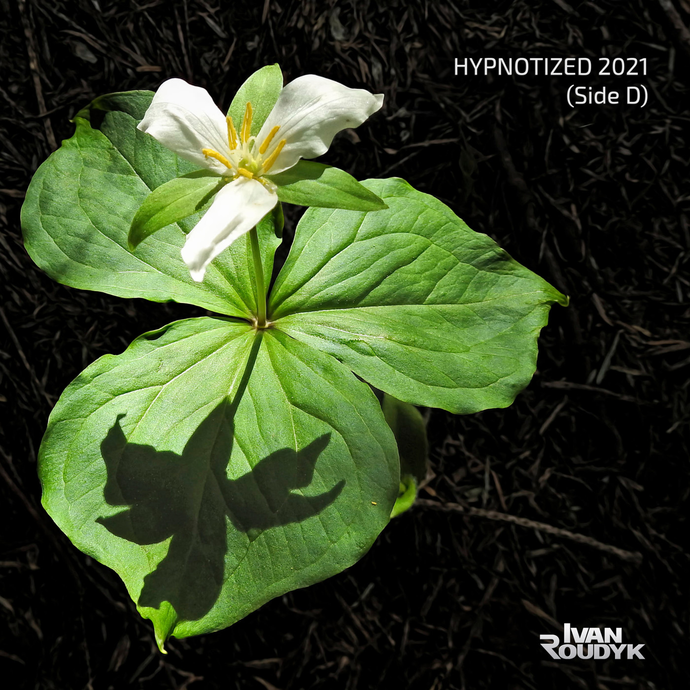 Ivan Roudyk - Hypnotized 2021(Side D) episode artwork