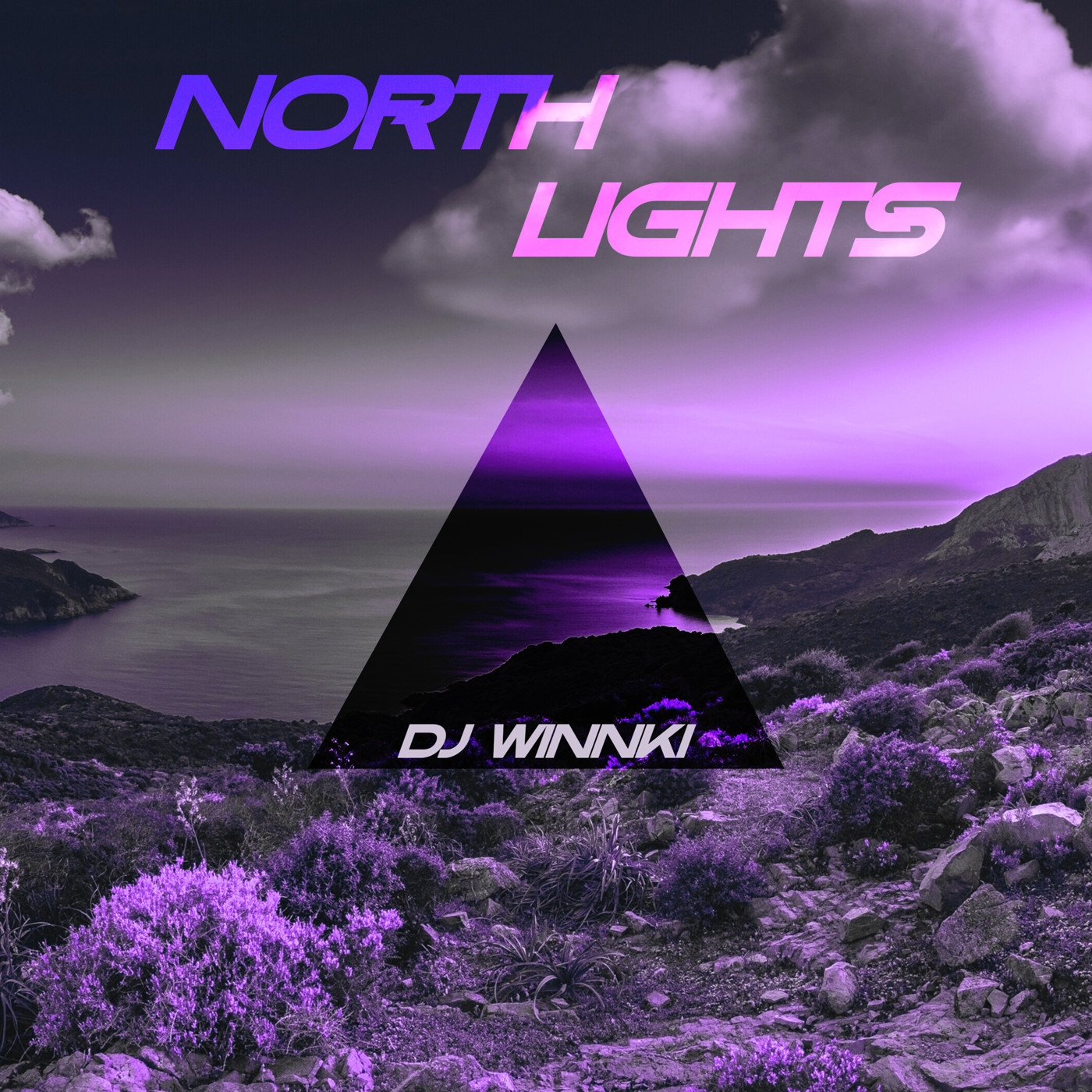 DJ WINNKI - North Lights