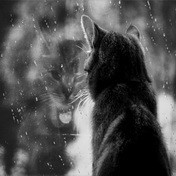 3 A.M. (rain instead of you)