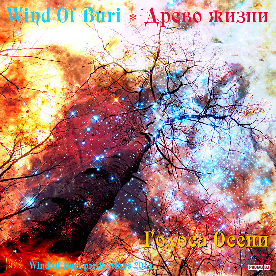  Wind