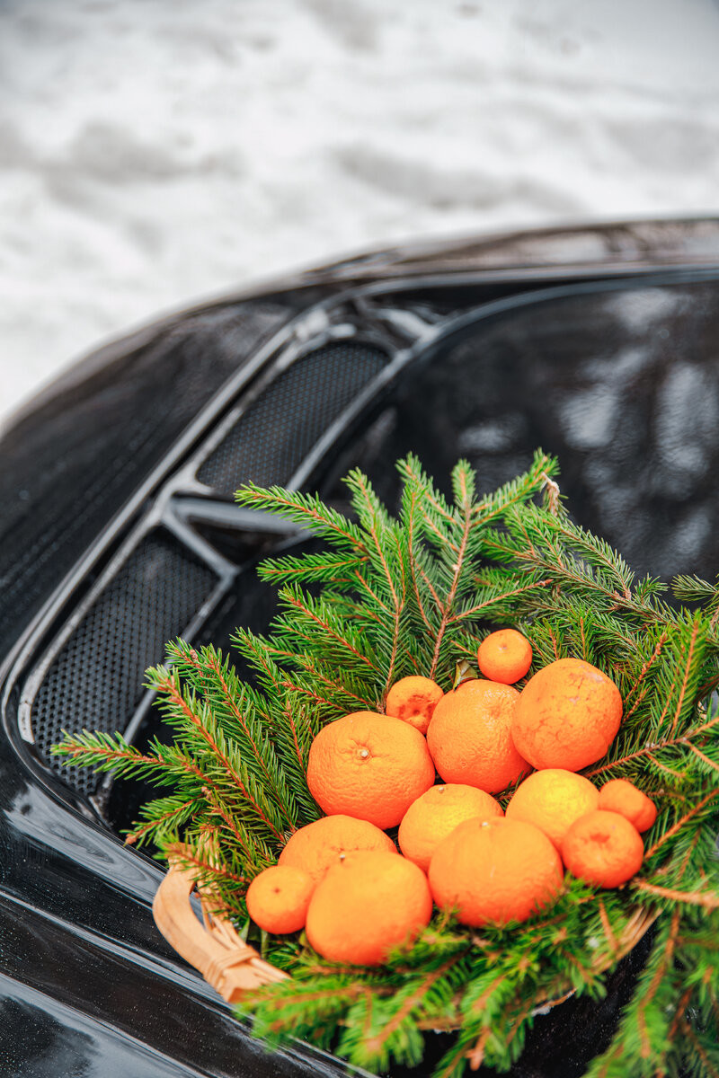 DJ Shved&co -  Когда запахнет хвоей  с мандаринами (новогодняя генерацИИя)