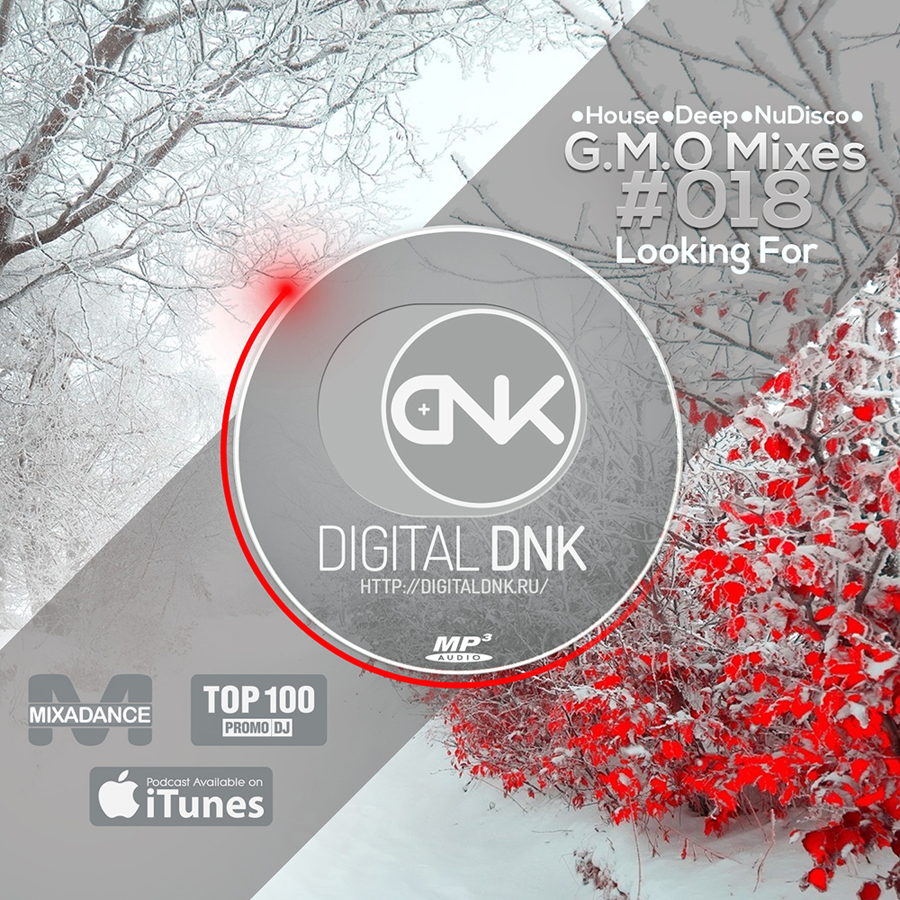 digital DNK
