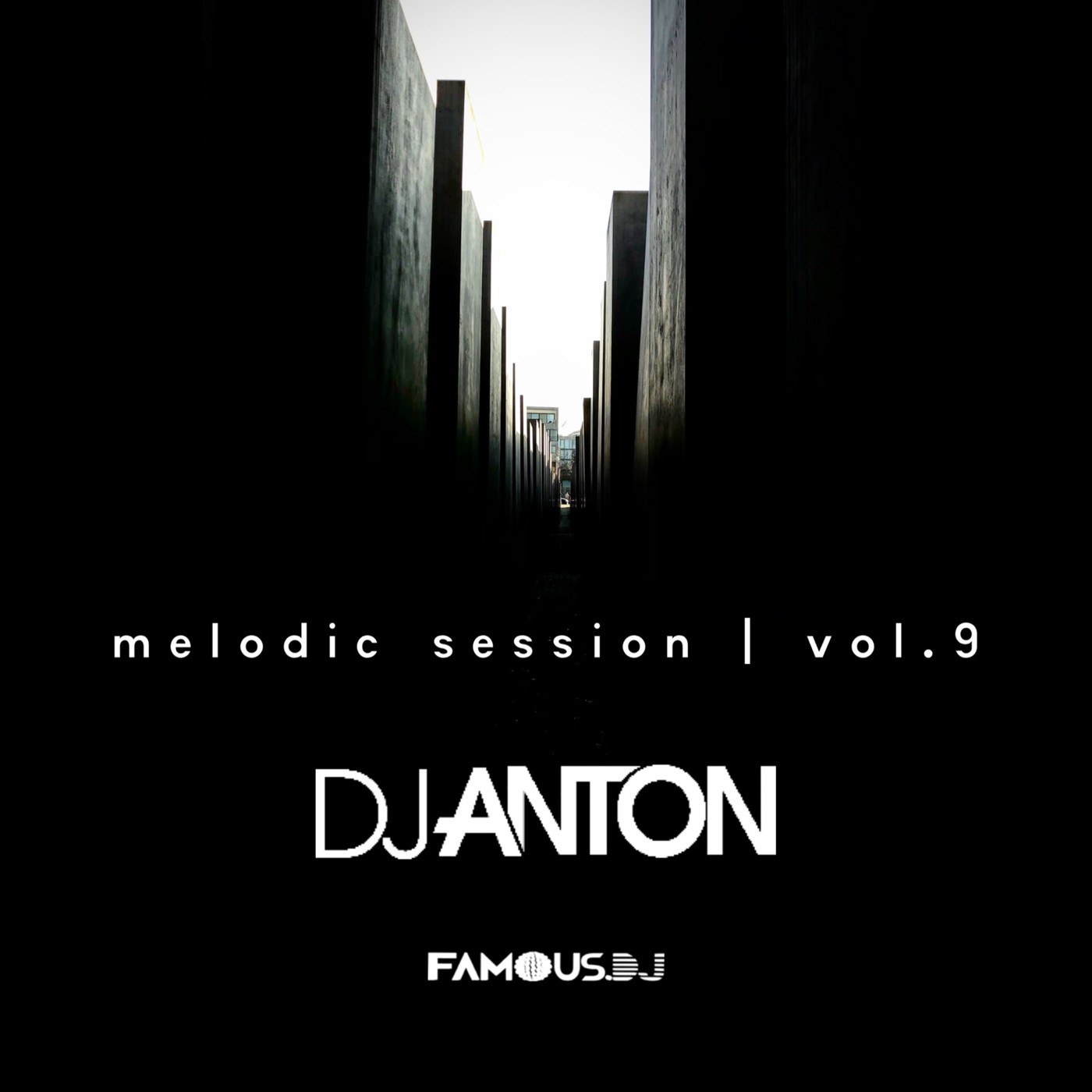 DJ ANTON - MELODIC SESSION VOL.09 episode artwork