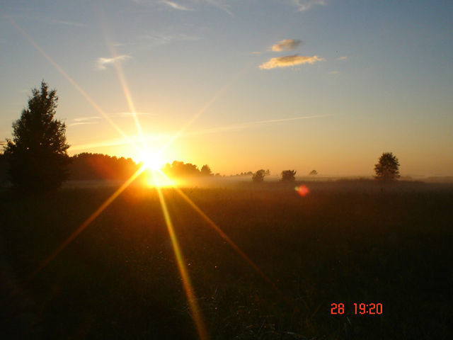 Music: Ambient House
