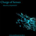 AN@RHIST  - Charge of Senses