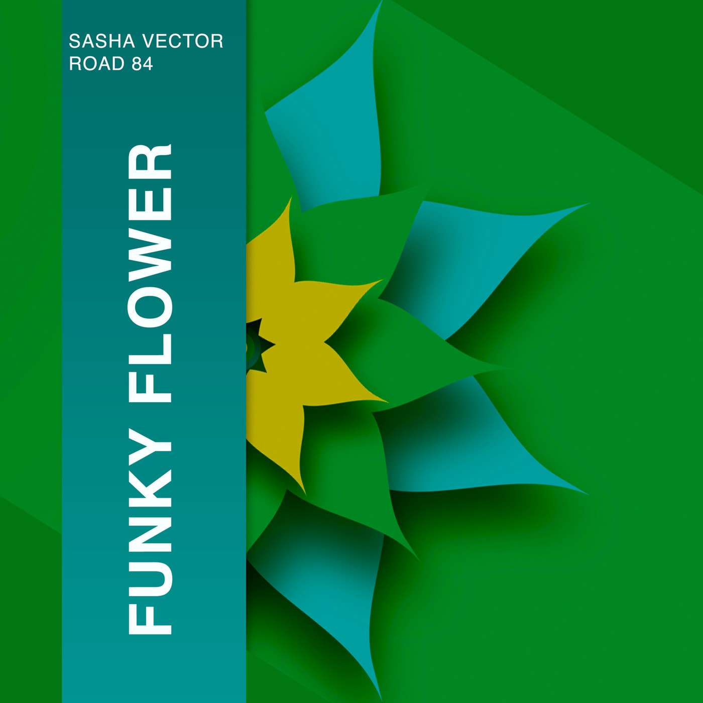 Sasha Vector - Funky Flower (Original Mix) - podcast episode cover