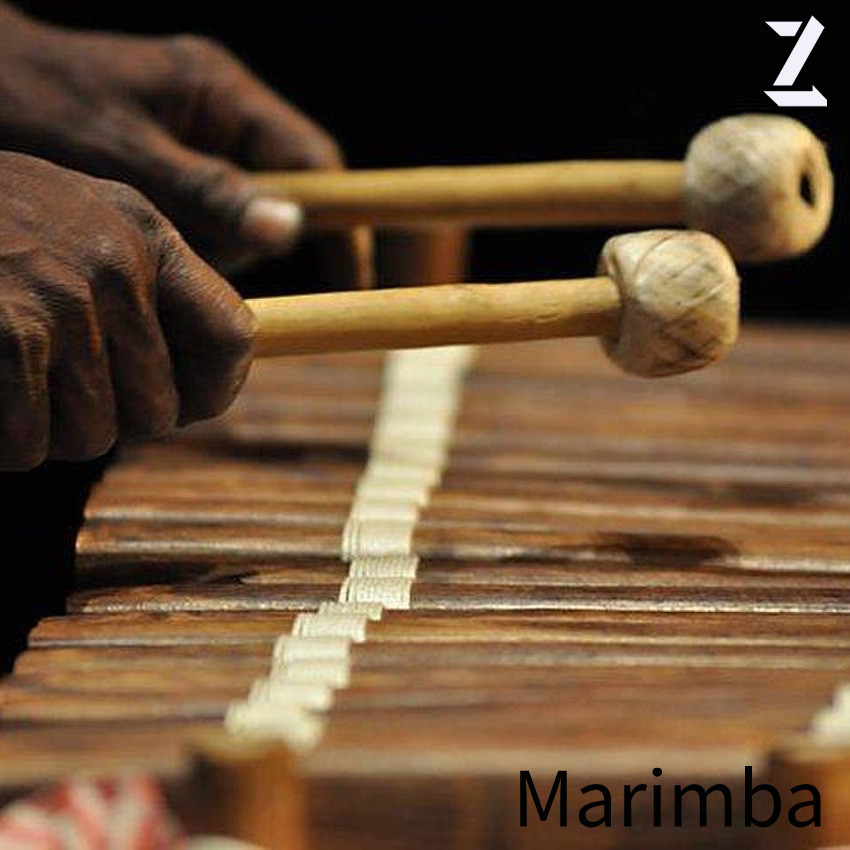 Z - Marimba episode artwork