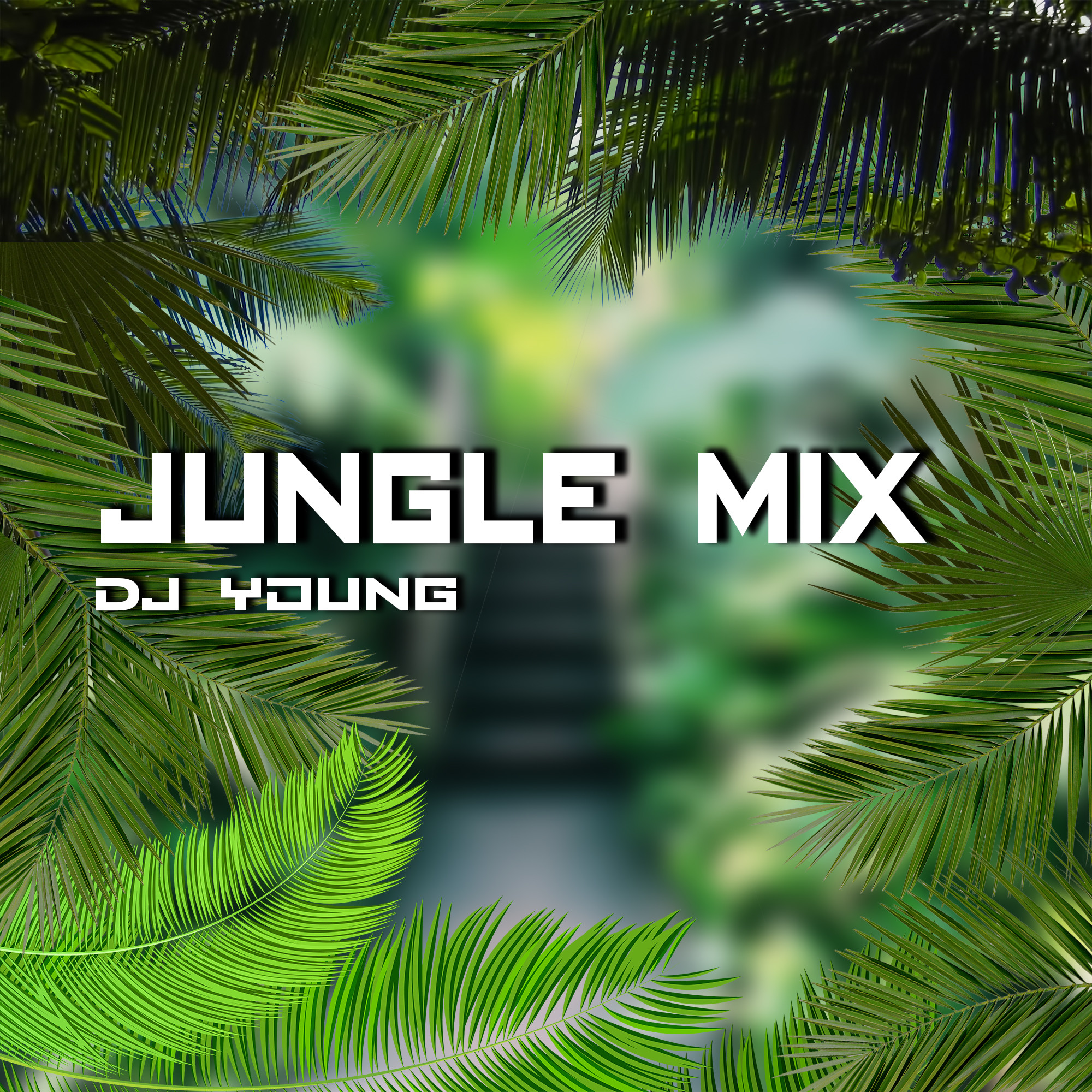 Jungle mix DJ Young