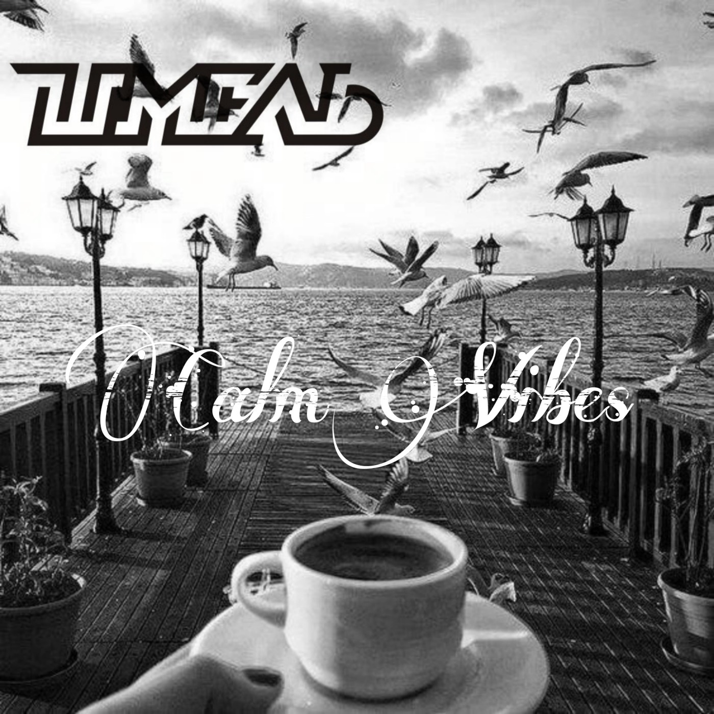 DJ Shmel-Calm Vibes episode artwork