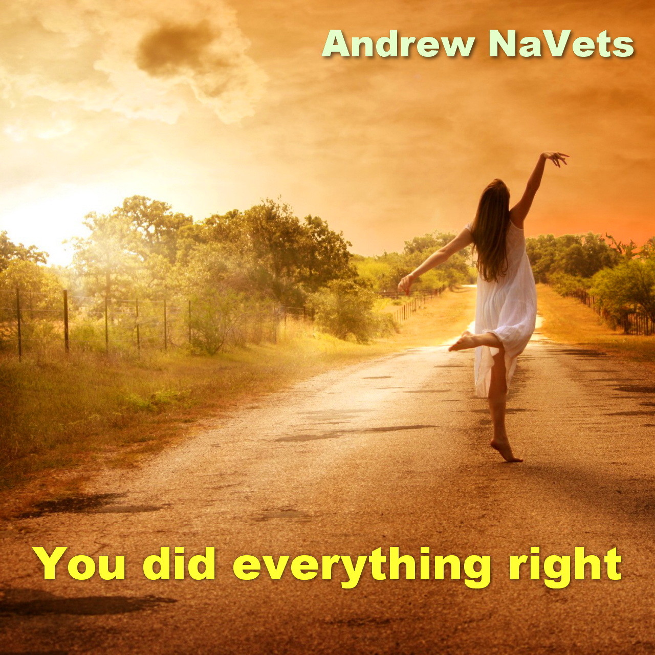 ANV - You Did Everything Right (Chillout Mix)