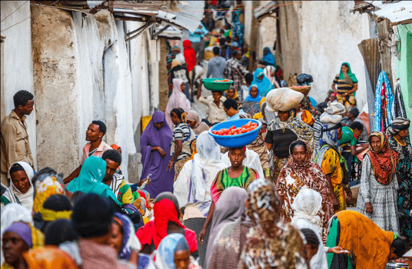 Серж Vega - The African Bazaar